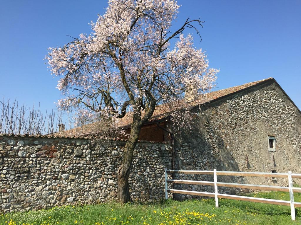 Antico Cascinale Lombardo Bed and Breakfast Lonato Εξωτερικό φωτογραφία